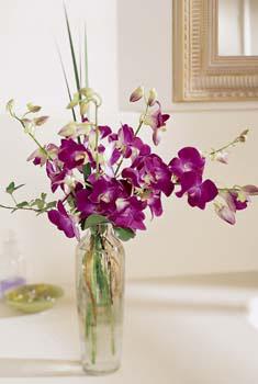 The FTD� Pacific Paradise� Arrangement