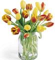 Tulip 20 stem Assorted Bouquet/ with vase